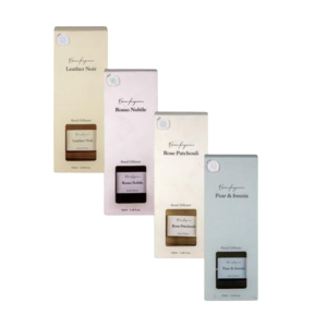 Diffuser Set 100ml Sticks Reed Asstd