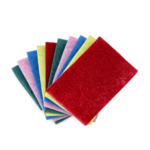 Scourer Pads 10Pce