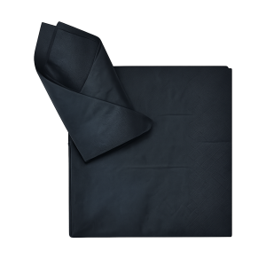 Serviettes 2Ply 33Cm 20Pc Plain Black