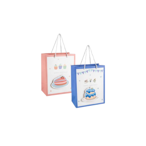 Gift Bag Paper Medium 18x23cm Pop Up