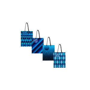 Gift Bag Paper Medium 18x23cm Every Male