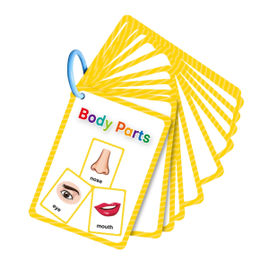 15 Educational Vocabulary Flashcards with 28 Words
